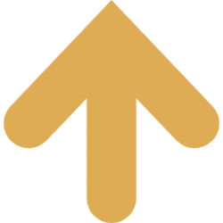 新工場